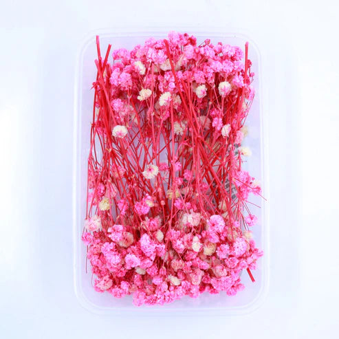 Baby Breath Dry Flower