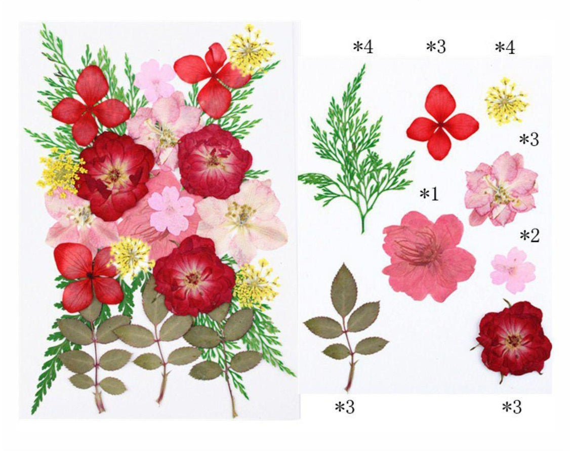 23 In 1 Pressed Flower