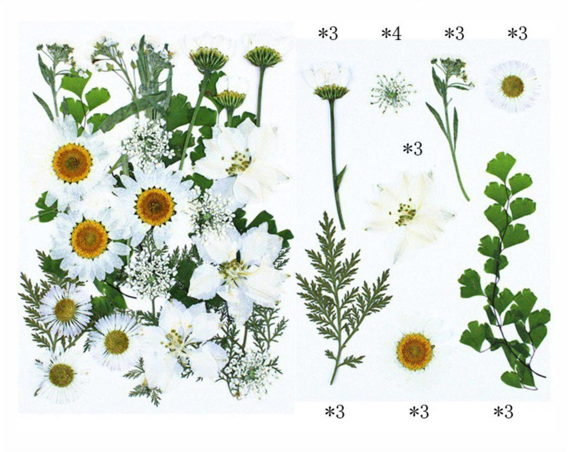 25 In 1 Pressed Flower