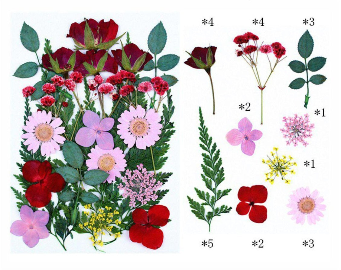 25 In 1 Pressed Flower