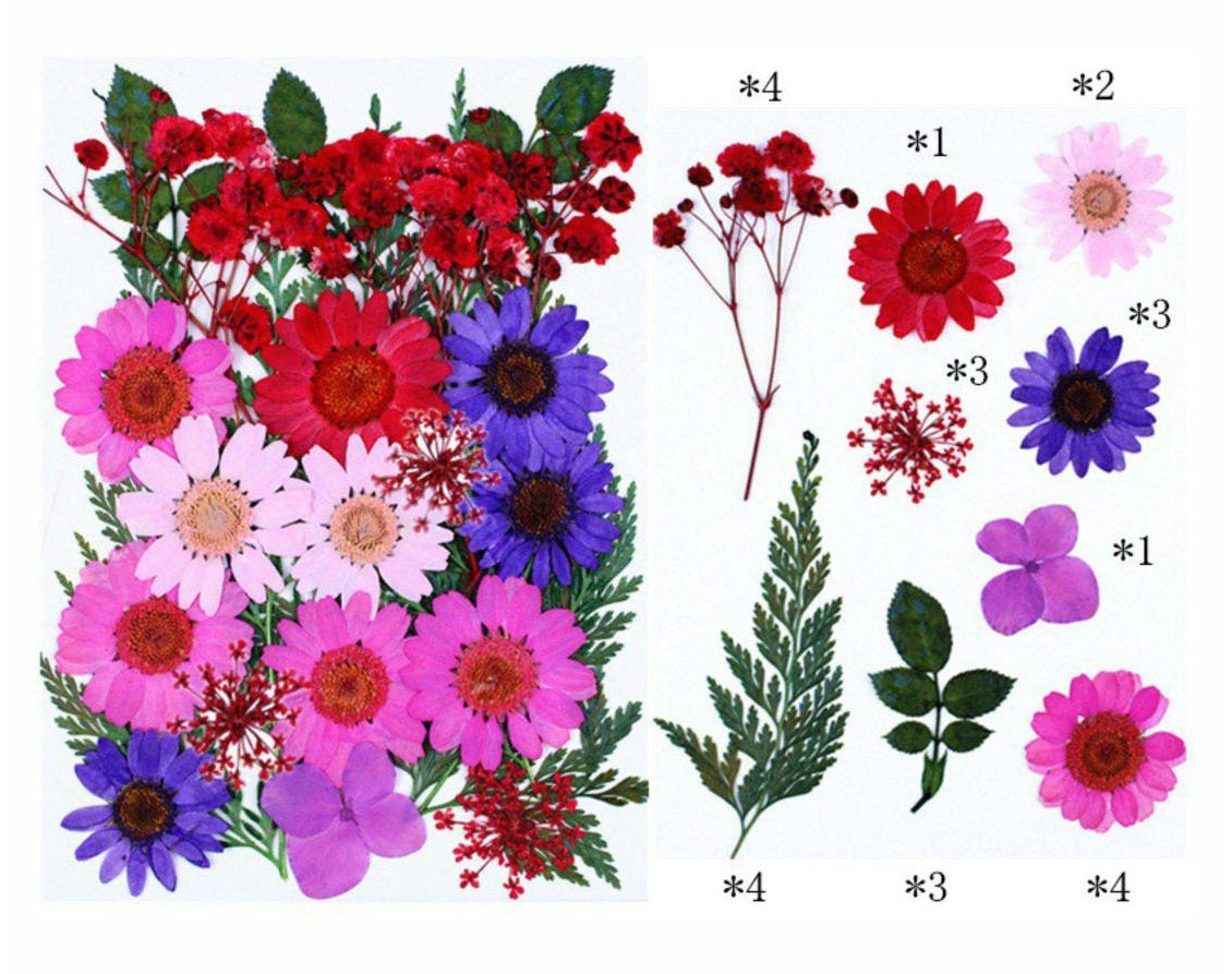 25 In 1 Pressed Flower
