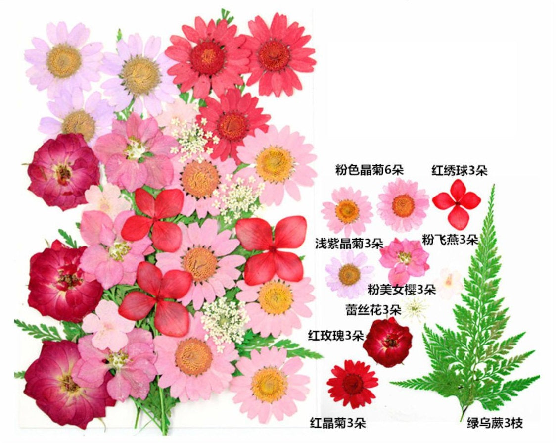 30 In 1 Pressed Flower