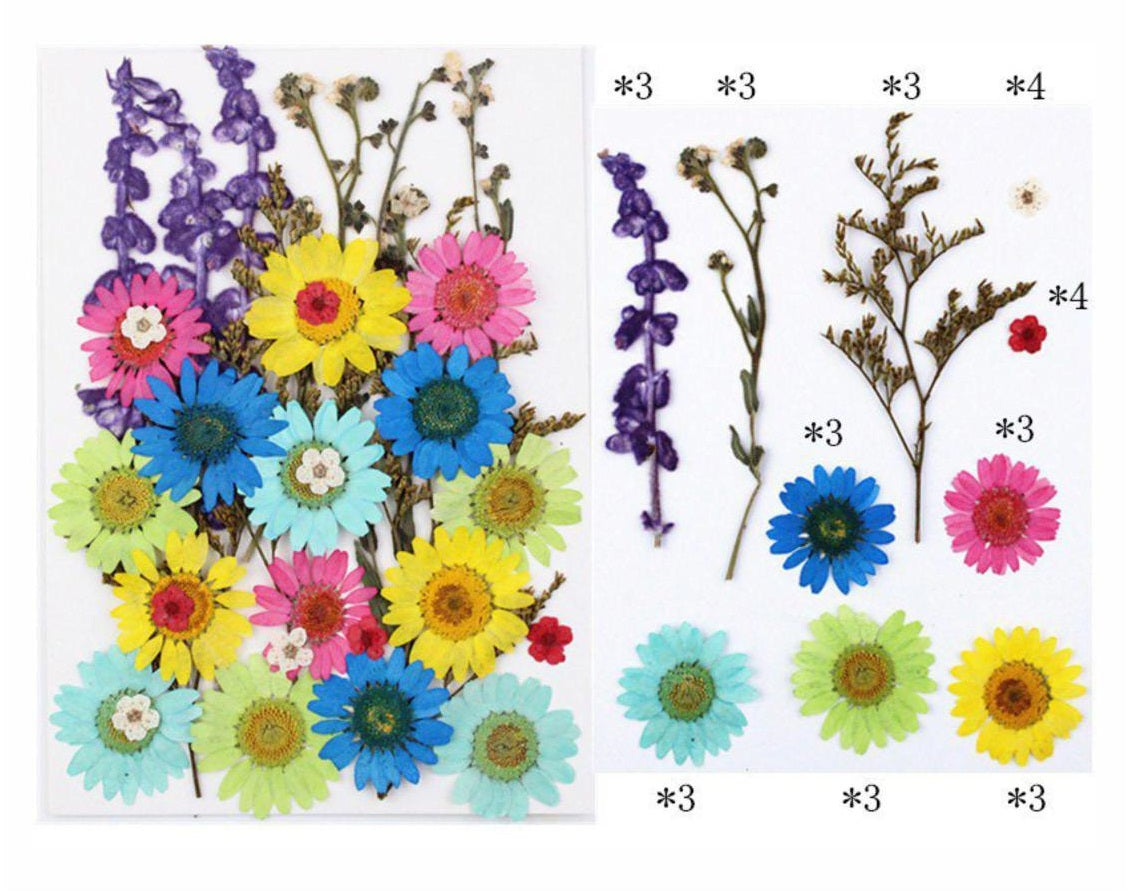 32 In 1 Pressed Flower
