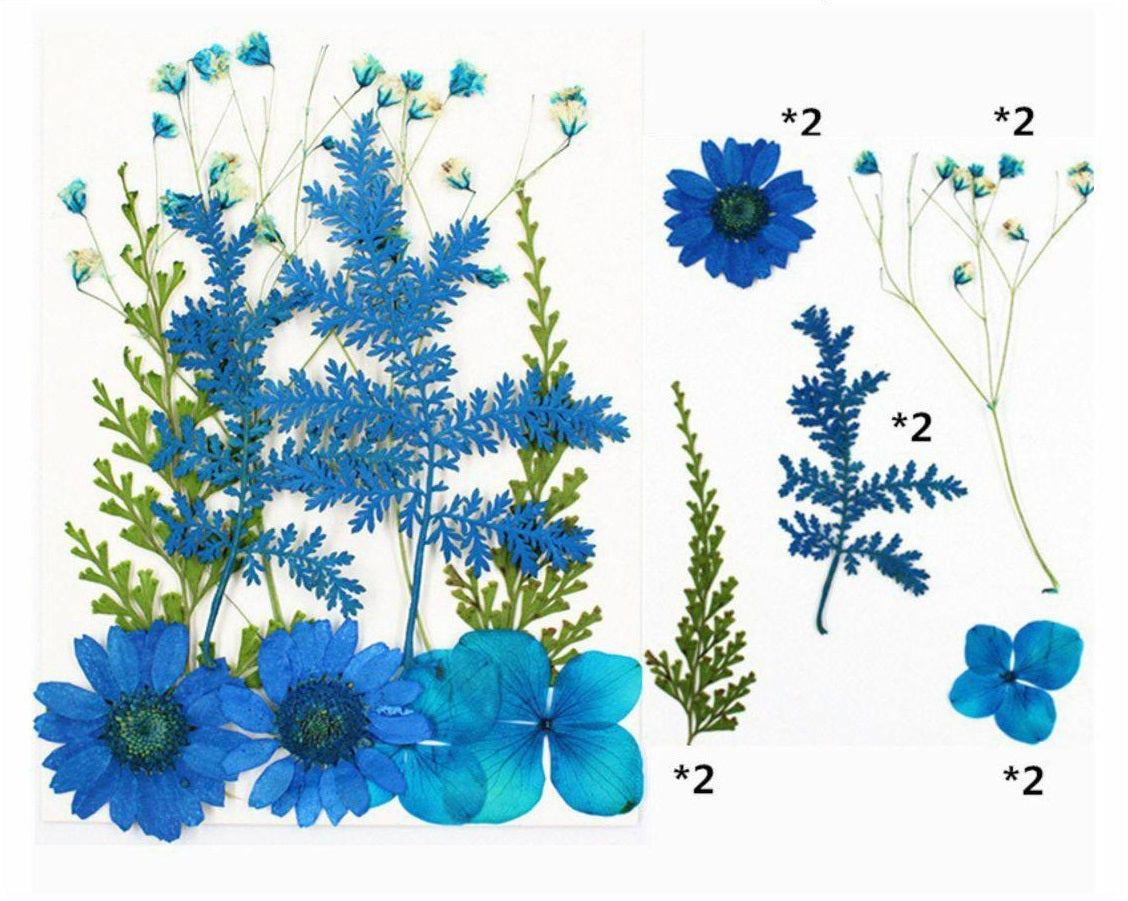 10 In 1 Pressed Flower