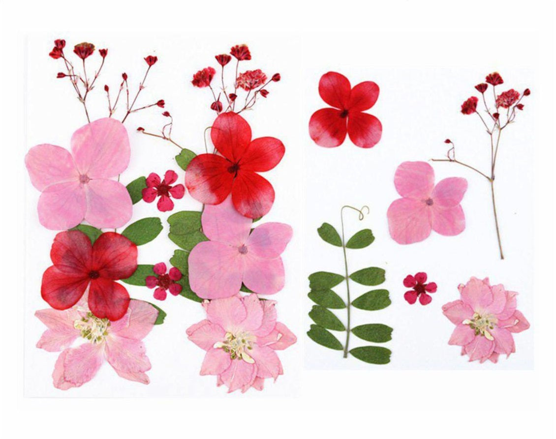 12 In 1 Pressed Flower