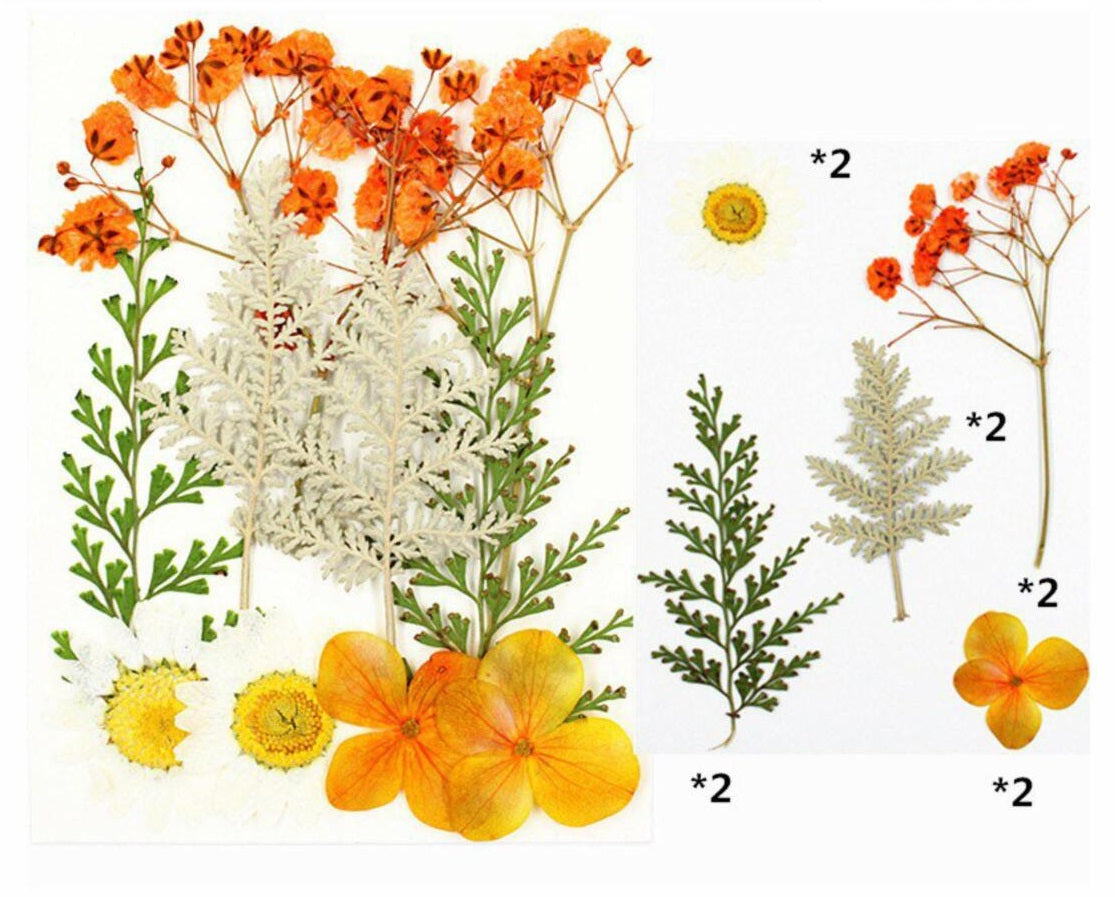 10 IN 1 Pressed Flower