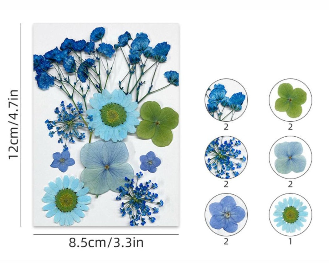 10 IN 1 Pressed Flower
