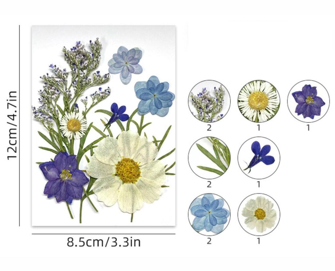 10 IN 1 Pressed Flower