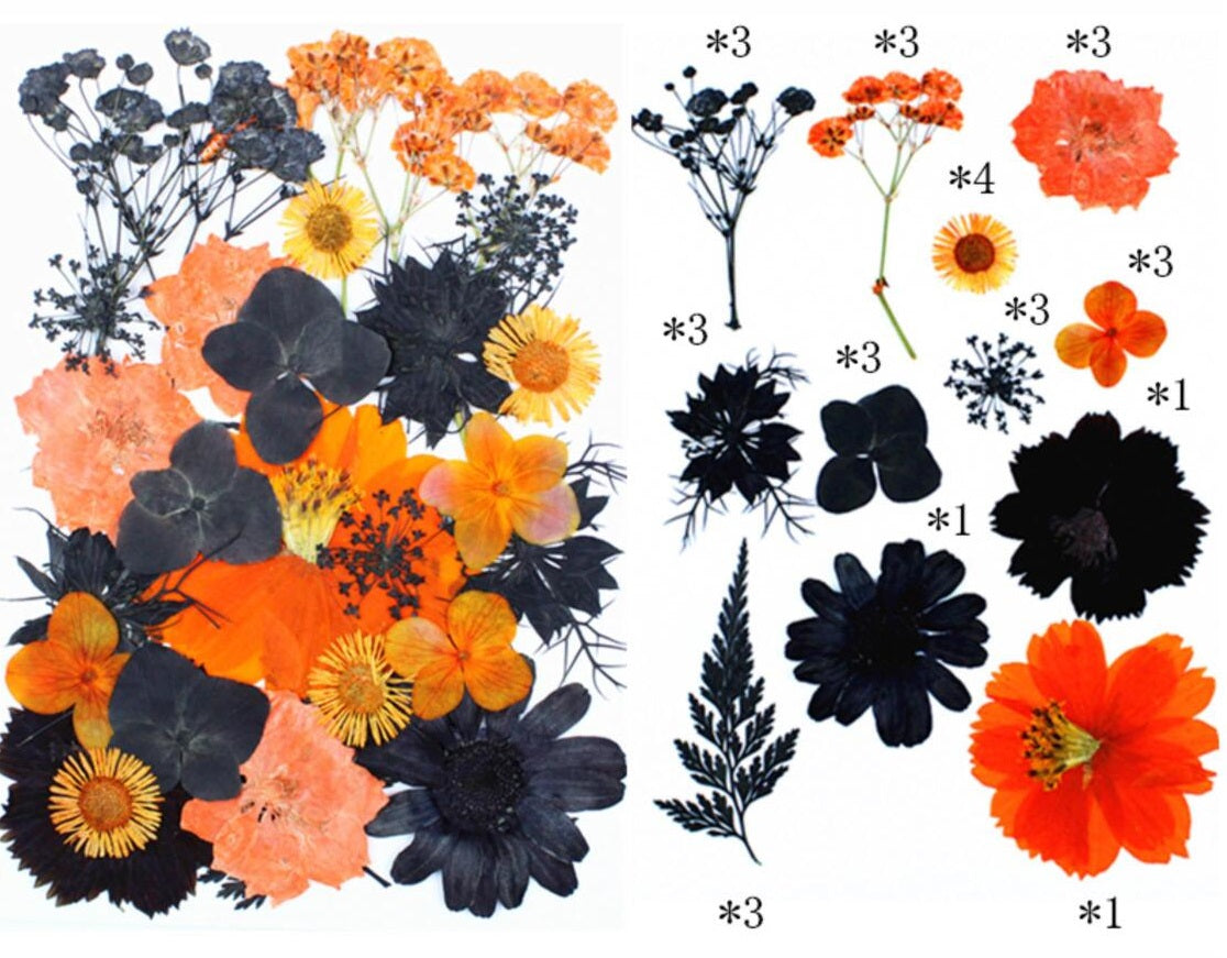 31 IN 1 Pressed Flower