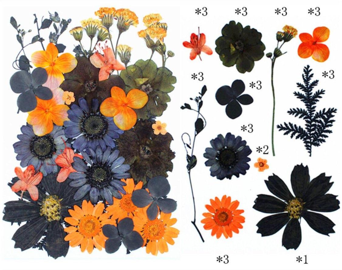 30 IN 1 Pressed Flower