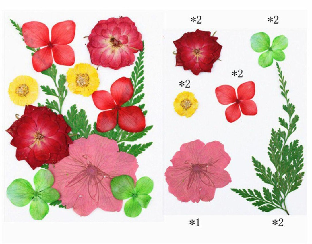 11 IN 1 Pressed Flower