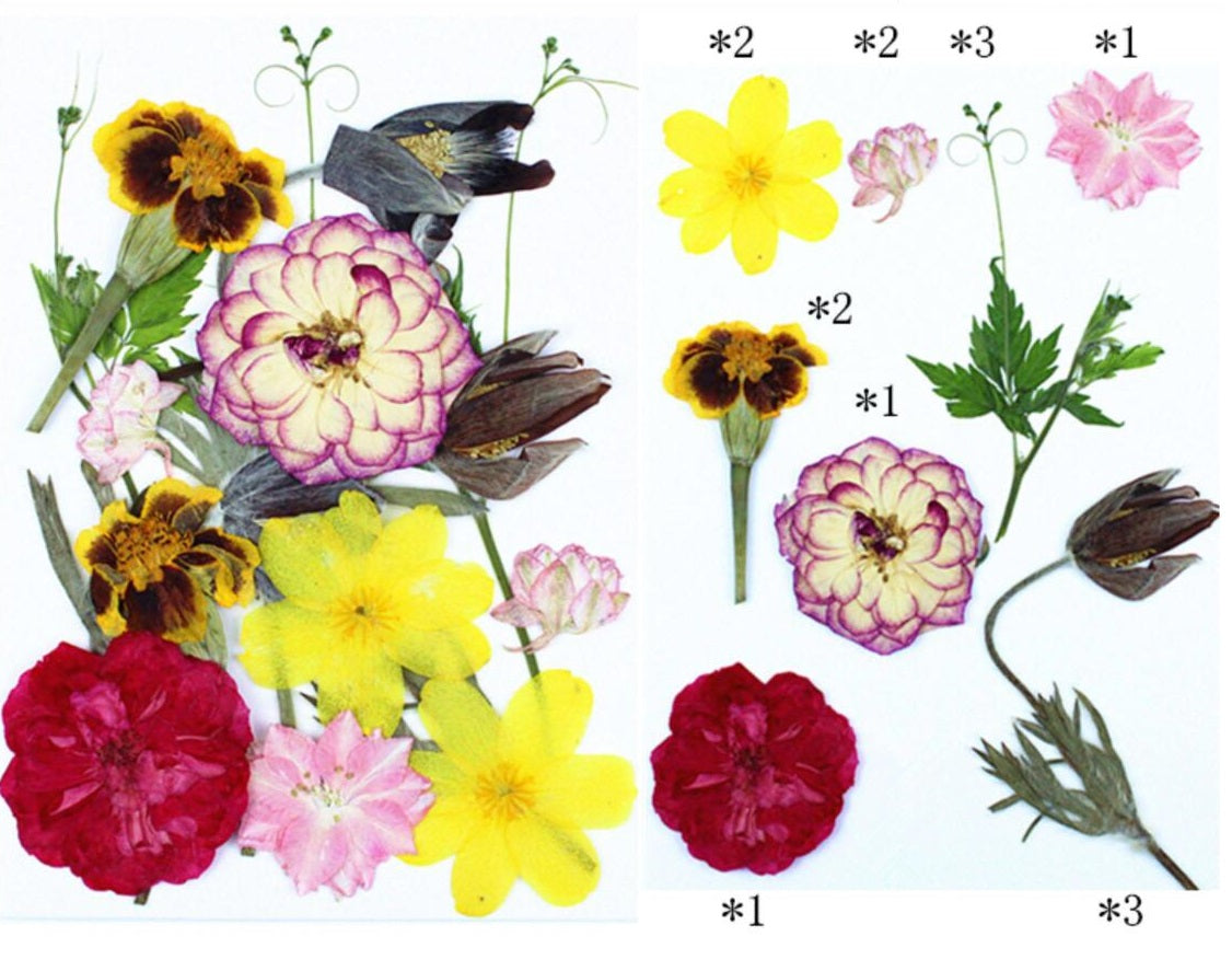 15 IN 1 Pressed Flower