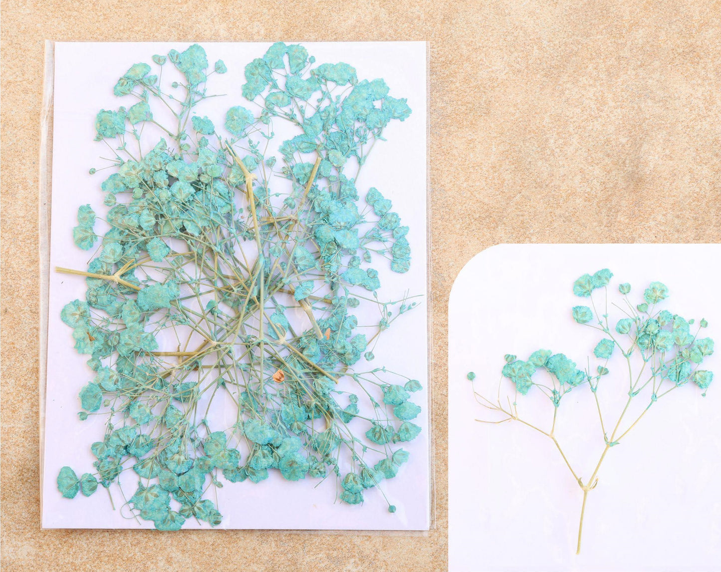 Green Baby Breath Pressed Flower