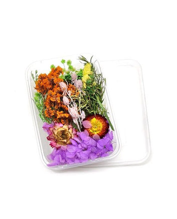 Mix Dry Flowers Box (Random)
