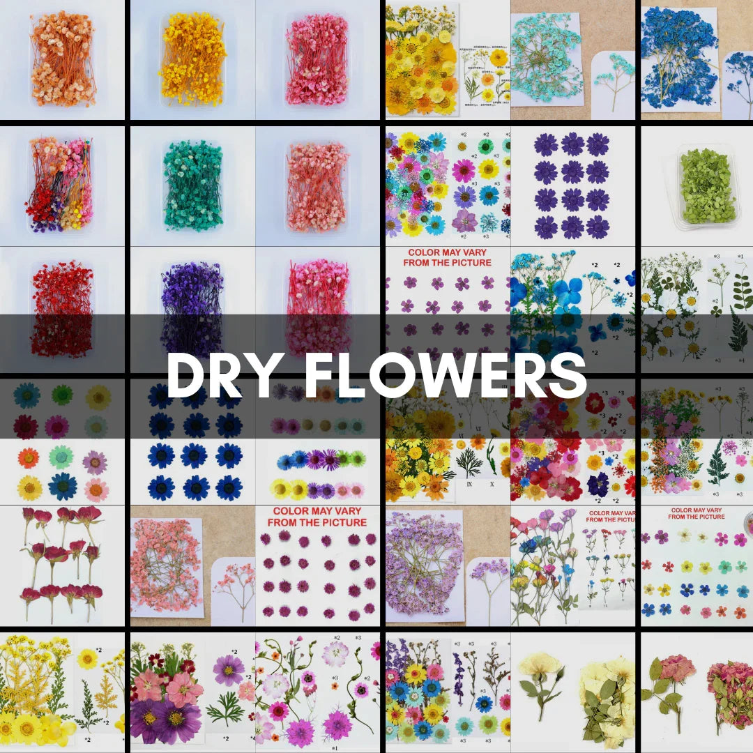 Dry Flowers