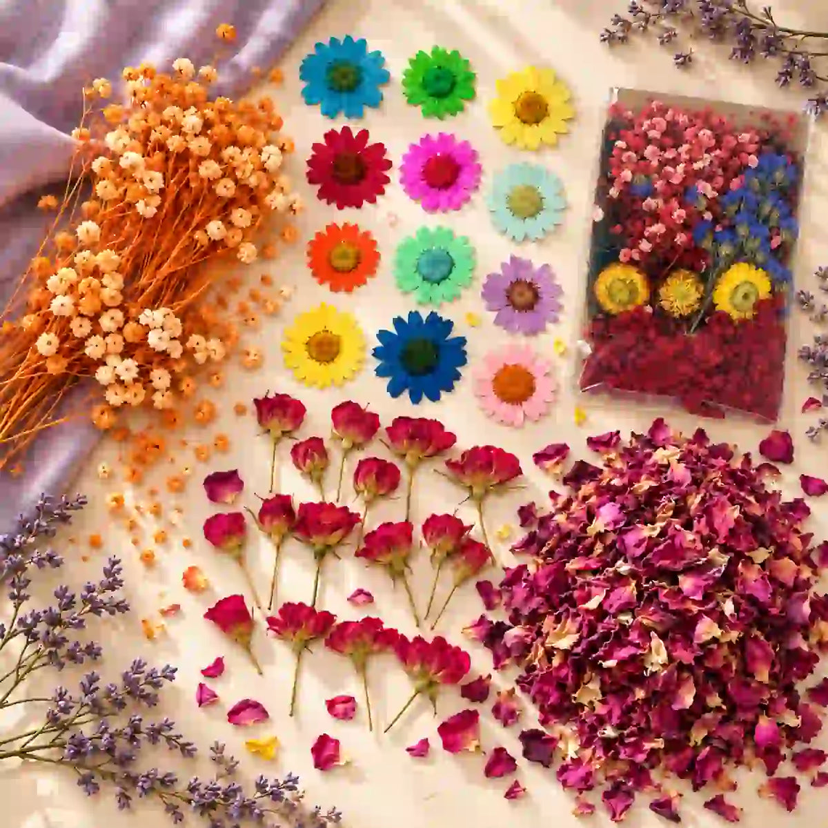 Dry Flowers