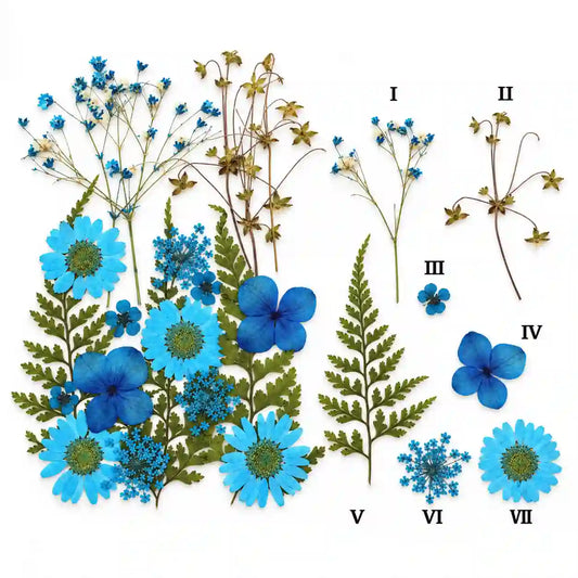 21 In 1 Pressed Flower – dried botanical product