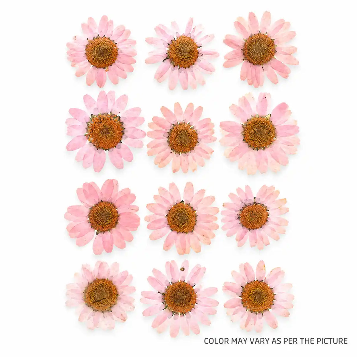 Dried Mixed Flowers – dried botanical product