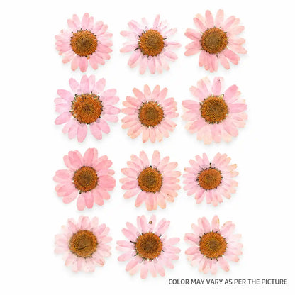 Dried Mixed Flowers – dried botanical product
