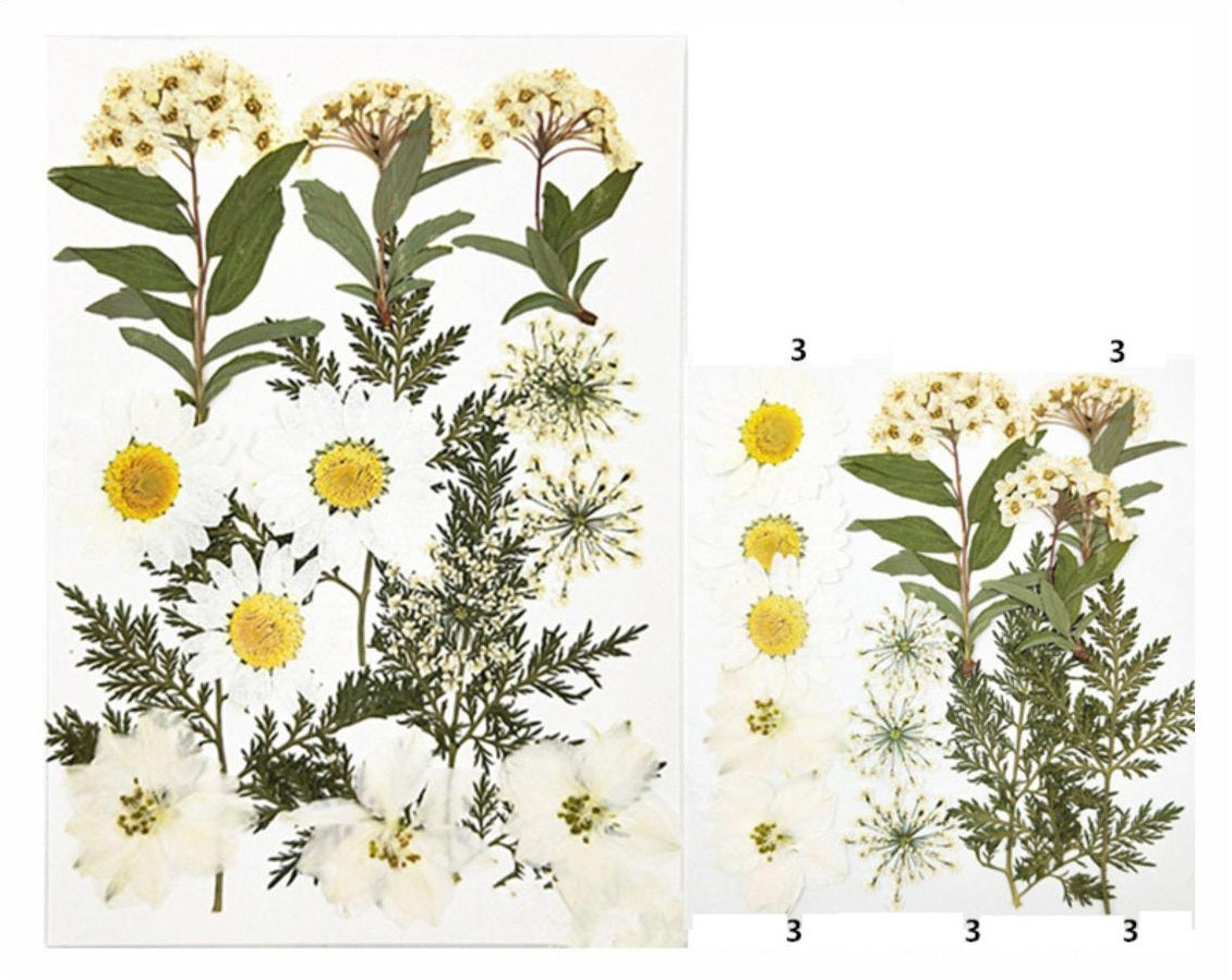 15 In 1 Pressed Flower