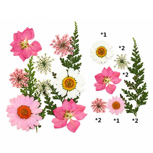 10 In 1 Pressed Flower – Bina’s Art