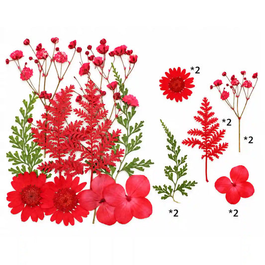 10 In 1 Pressed Flower – Bina’s Art