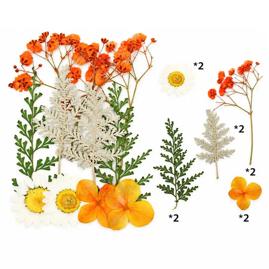 10 IN 1 Pressed Flower – Bina’s Art