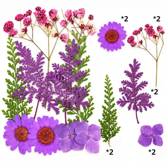 10 In 1 Pressed Flower – Bina’s Art