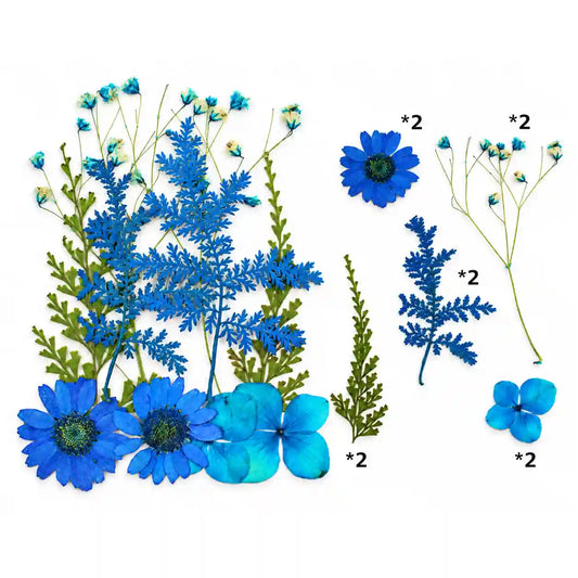 10 In 1 Pressed Flower – Bina’s Art