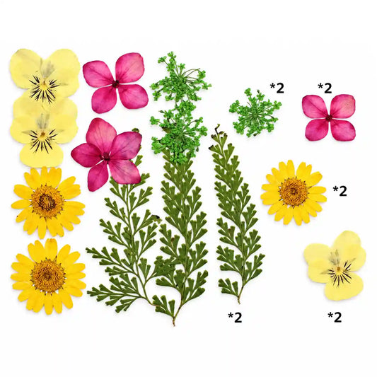 10 In 1 Pressed Flower – Bina’s Art