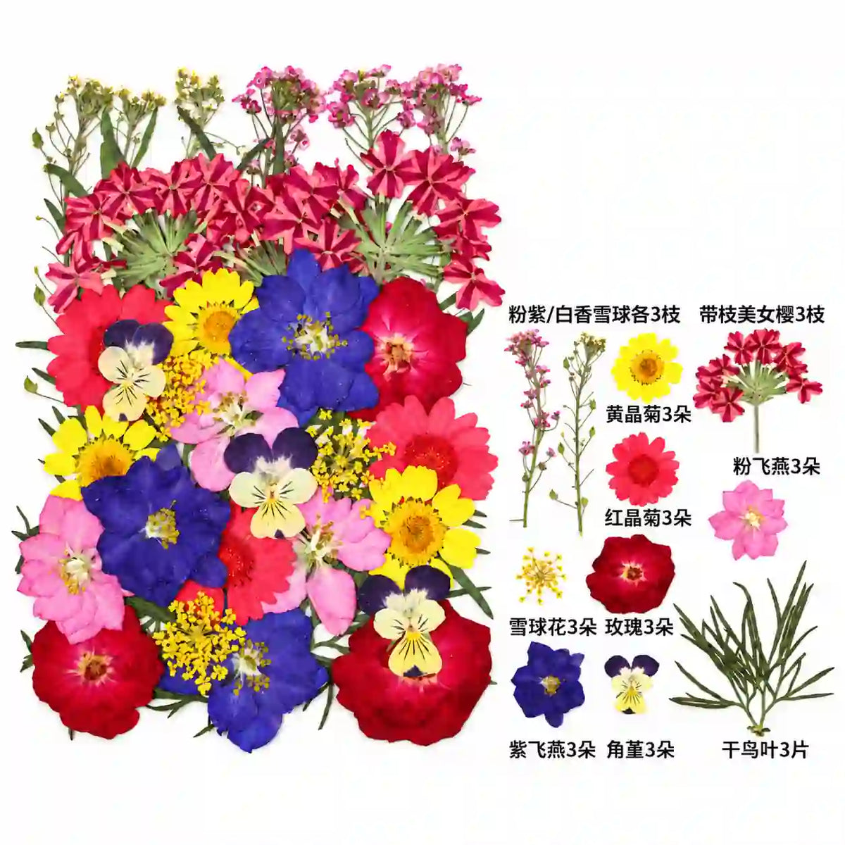 30 In 1 Pressed Flower – Bina’s Art