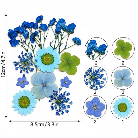 10 IN 1 Pressed Flower – Bina’s Art