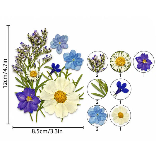 10 IN 1 Pressed Flower – Bina’s Art