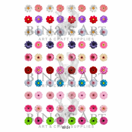 Daisy Flower Designs Insert Sheet (Transparent Sheet)