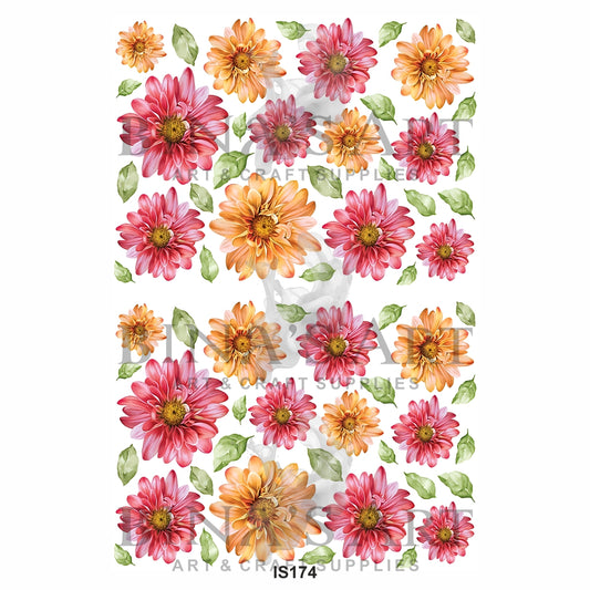 Floral Designs Insert Sheet (Transparent Sheet)
