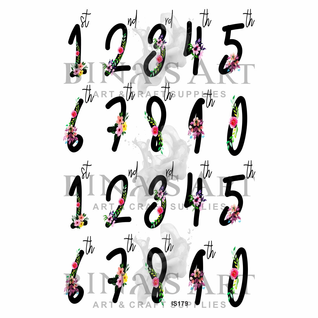 Ordinal Numbers Designs Insert Sheet (Transparent Sheet)