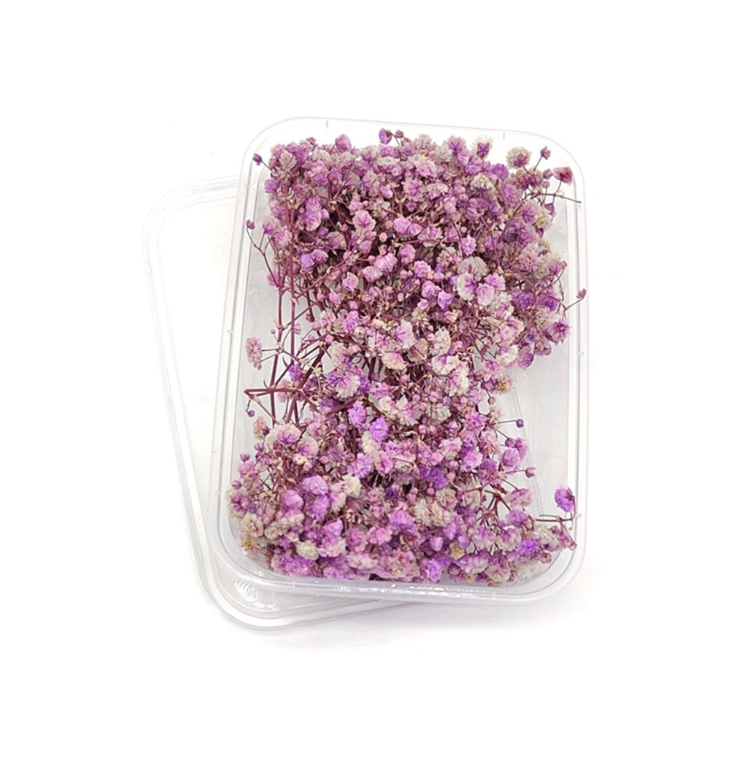 Baby Breath Dry Flower Box