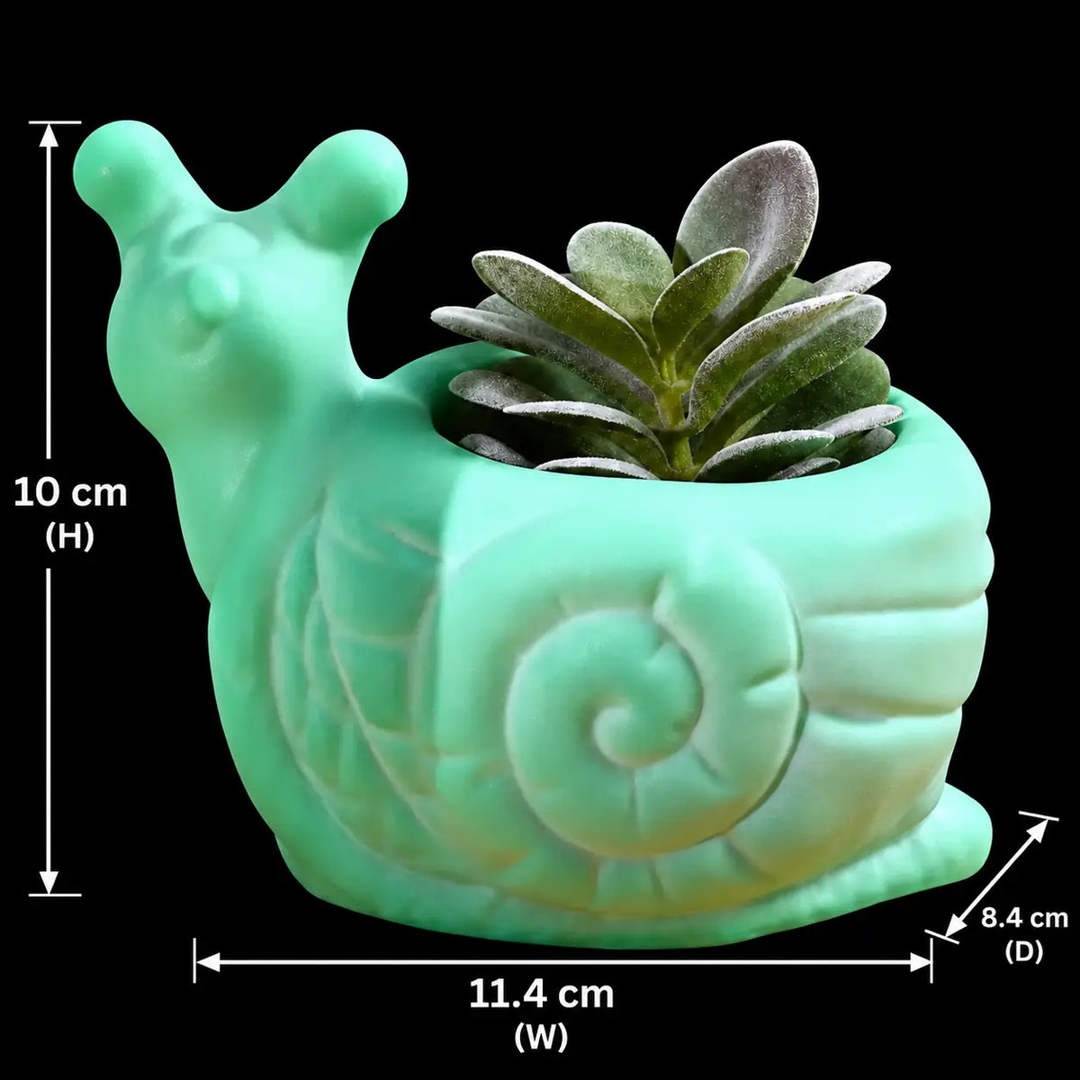 Snail Planter Mould — finished example