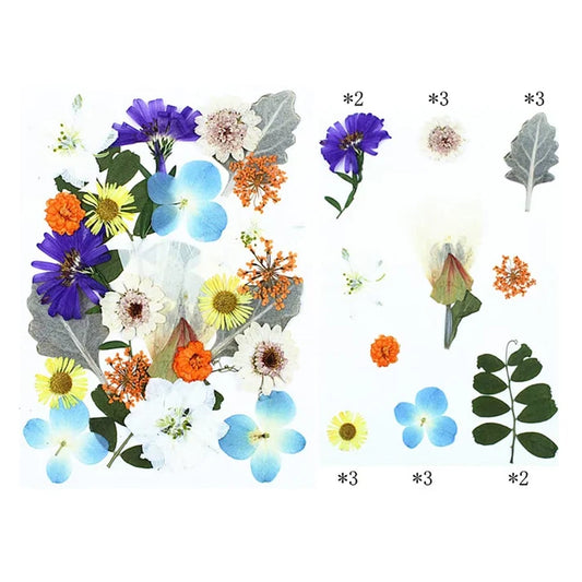 25 In 1 Pressed Flowers