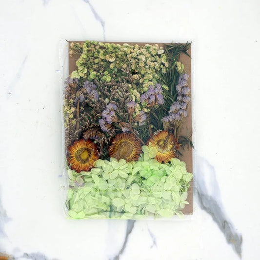 Dried Mixed Flowers DF20