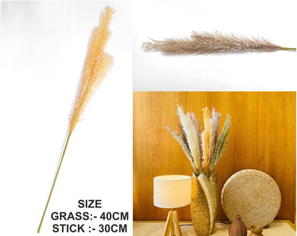 Father Pampas Grass