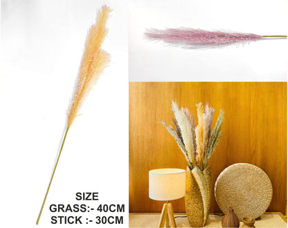 Father Pampas Grass