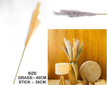 Father Pampas Grass