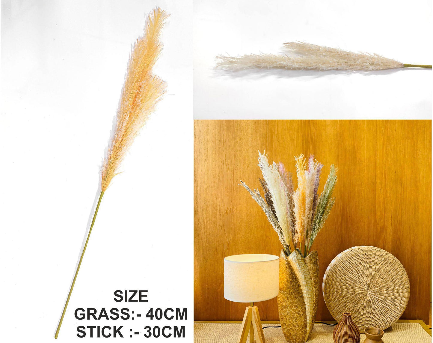 Father Pampas Grass