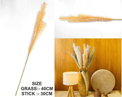 Father Pampas Grass