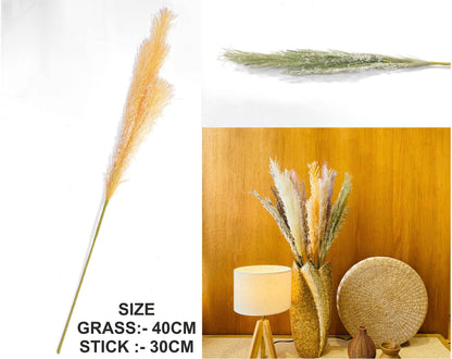 Father Pampas Grass