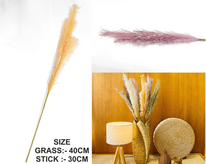 Father Pampas Grass