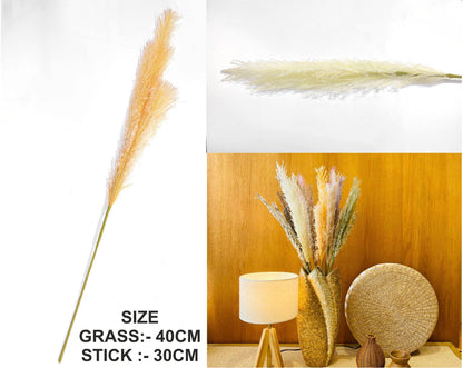Father Pampas Grass