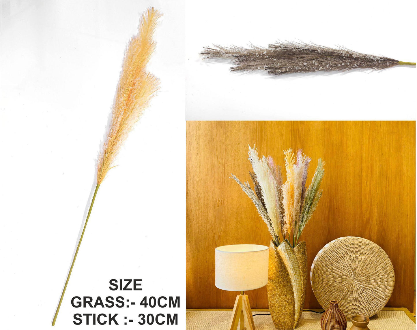 Father Pampas Grass