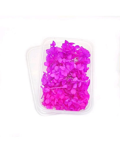 Dry Flowers Box BA205